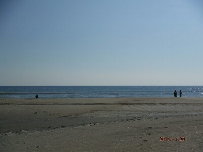 a0284729_8382622.jpg
