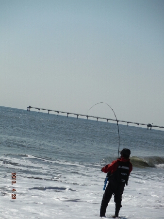 a0284729_8423081.jpg