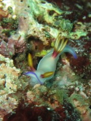 13.4.29 宜野湾沖へ_b0100730_210407.jpg