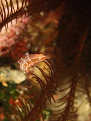 13.4.29 宜野湾沖へ_b0100730_210555.jpg