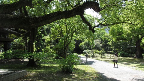 2013.04.27　浜離宮恩賜庭園_e0202031_22121030.jpg