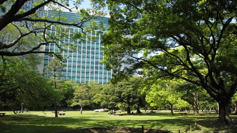 e0202031_22235782.jpg