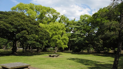 e0202031_22244553.jpg