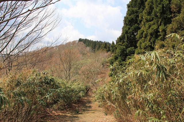 ４月２７日　岡山県立森林公園　きたけ峰登山_a0045932_10125382.jpg