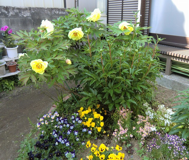 a0006033_15541554.jpg