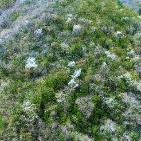 b0237035_8475470.jpg