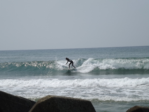 f0248337_11314450.jpg