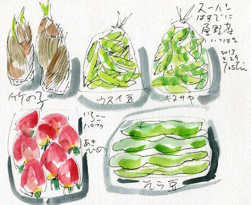 夏野菜や花の苗_b0036638_21535387.jpg