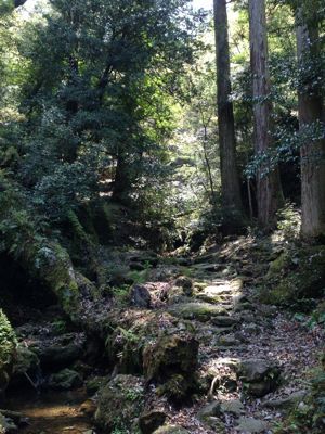 鰐淵寺_e0272038_22572511.jpg