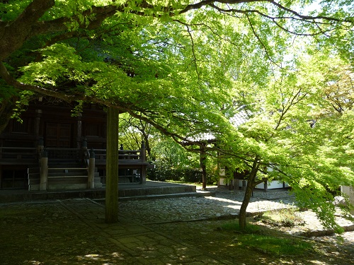 d0282139_10454263.jpg