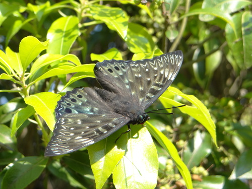 d0254540_1813630.jpg