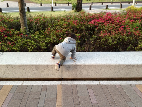 休館に納得いかない_a0267942_19213695.jpg