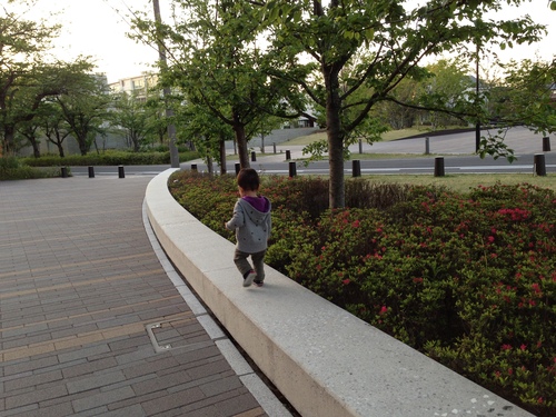 休館に納得いかない_a0267942_19321782.jpg