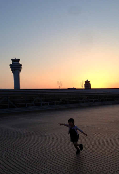 大空港写真展で大賞が取れそうな写真が撮れました。 タイトル「ぶーん」_d0119642_04132.png