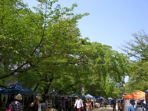 c0264343_21537100.jpg