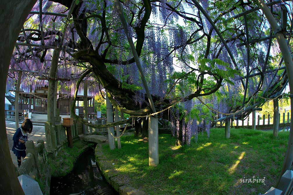 d0238245_10395665.jpg
