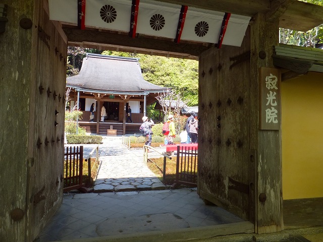 d0048350_20541077.jpg