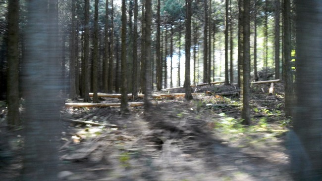 b0005652_19474779.jpg