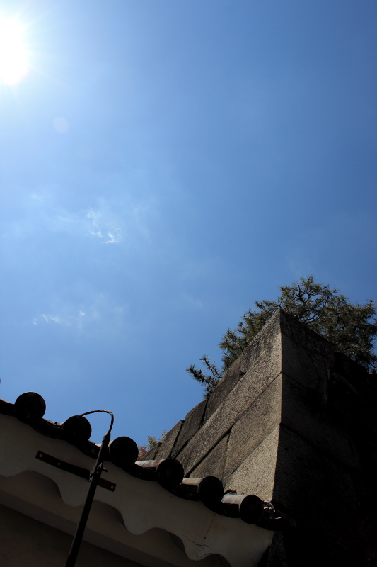 c0272958_23425230.jpg