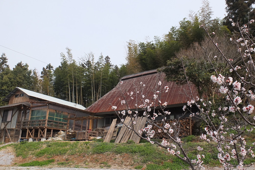 2013年3月26日～4月11日 備中・帝釈・四国一周の旅（第五部）クライミング編 _c0127663_21395898.jpg