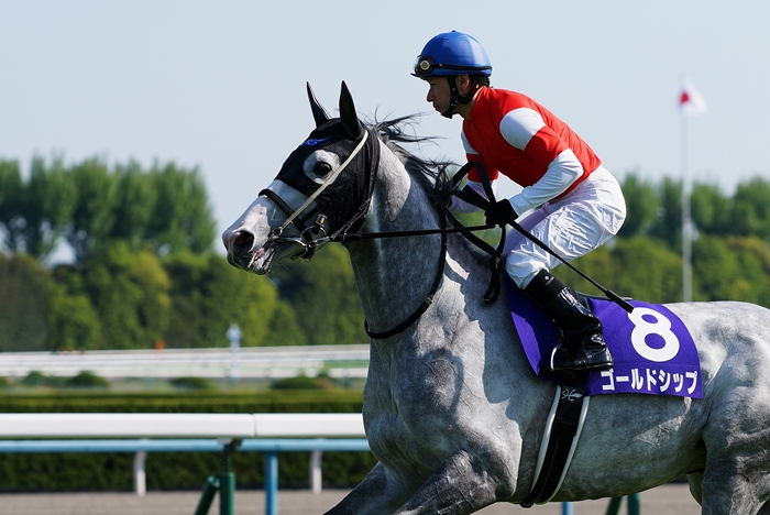 これも競馬 競馬に絶対はない 天皇賞 春 Turfに魅せられて 写真紀行