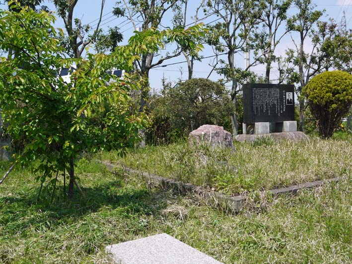 野口初太郎翁頌徳碑建立地の玉縄桜に異変：13・4・22_c0014967_9403579.jpg