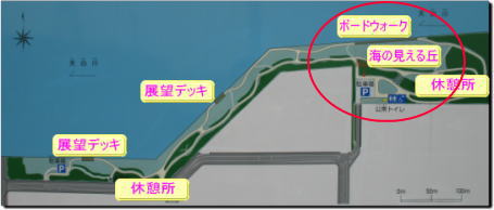 金城埠頭ドッグランの候補地見学_d0152869_2152123.jpg