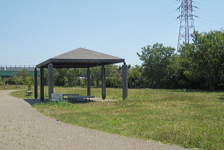d0152869_21582799.gif
