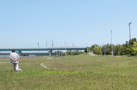 d0152869_2159295.gif