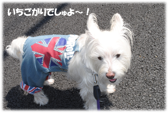 b0242873_192090.png