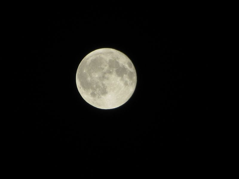b0202185_61528.jpg