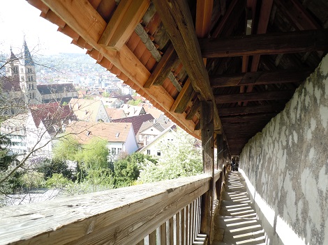 e0255187_4825.jpg