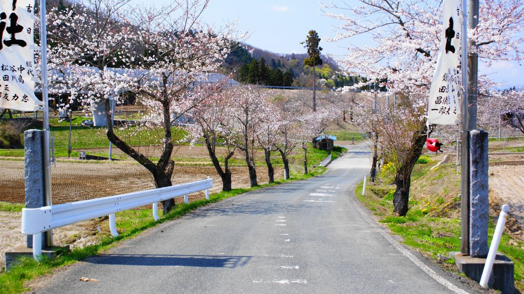 ついに花巻にも春がやってきた！_c0108388_1915427.jpg