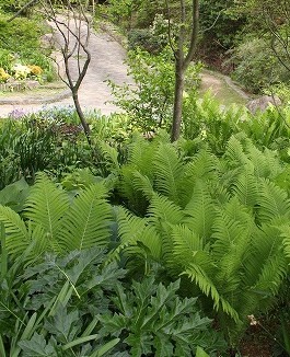 気分は天国から地獄へ　北山緑化植物園♪　_a0123003_9443880.jpg