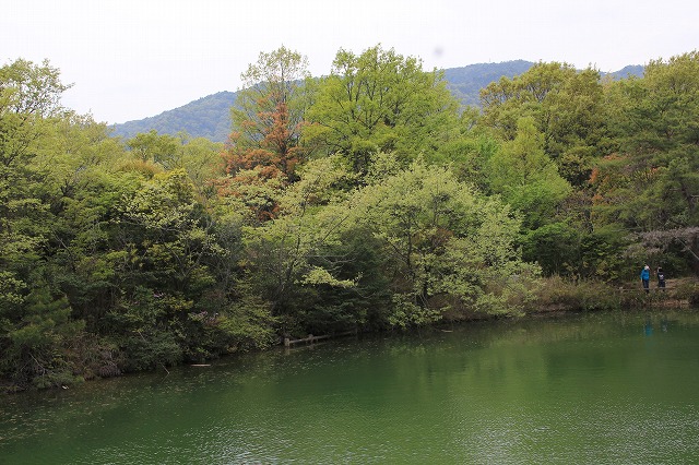 気分は天国から地獄へ　北山緑化植物園♪　_a0123003_9584564.jpg