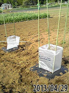 e0270403_9475531.jpg