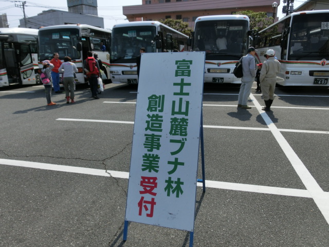成人式を迎えた「第20回 富士山麓ブナ林創造事業」_f0141310_737156.jpg
