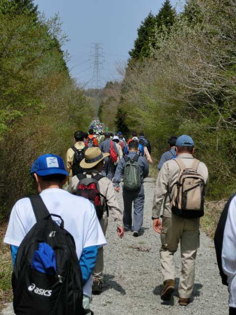 成人式を迎えた「第20回 富士山麓ブナ林創造事業」_f0141310_7374733.jpg