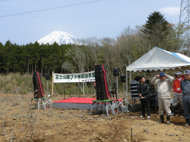 成人式を迎えた「第２０回　富士山麓ブナ林創造事業」_f0141310_7385248.jpg
