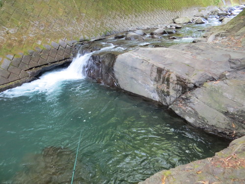 b0121015_20511917.jpg