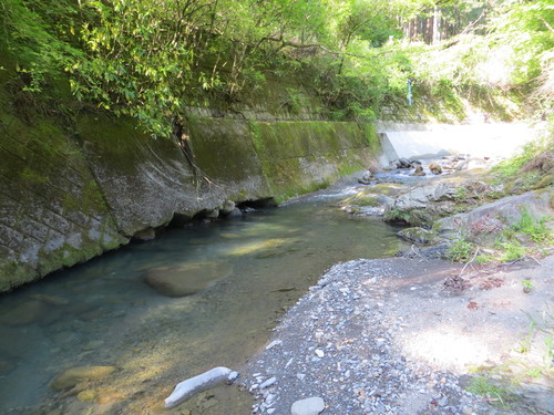 b0121015_20521411.jpg