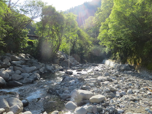 b0121015_21121274.jpg
