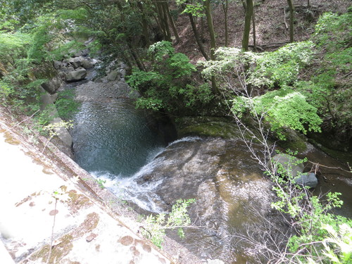 b0121015_21212220.jpg