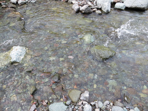 b0121015_21285816.jpg