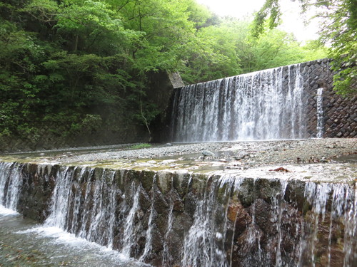b0121015_21303443.jpg
