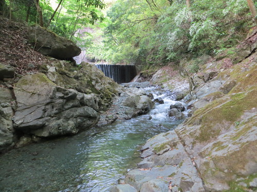 b0121015_21331574.jpg