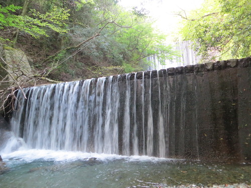 b0121015_2134422.jpg