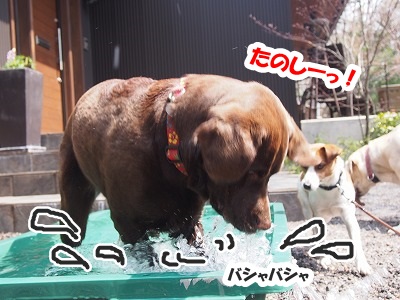 GW前半は_e0192217_8415457.jpg
