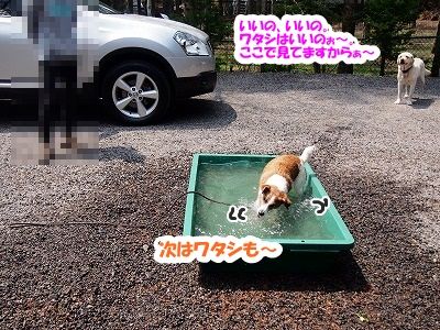 GW前半は_e0192217_844113.jpg