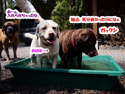 GW前半は_e0192217_8515666.jpg